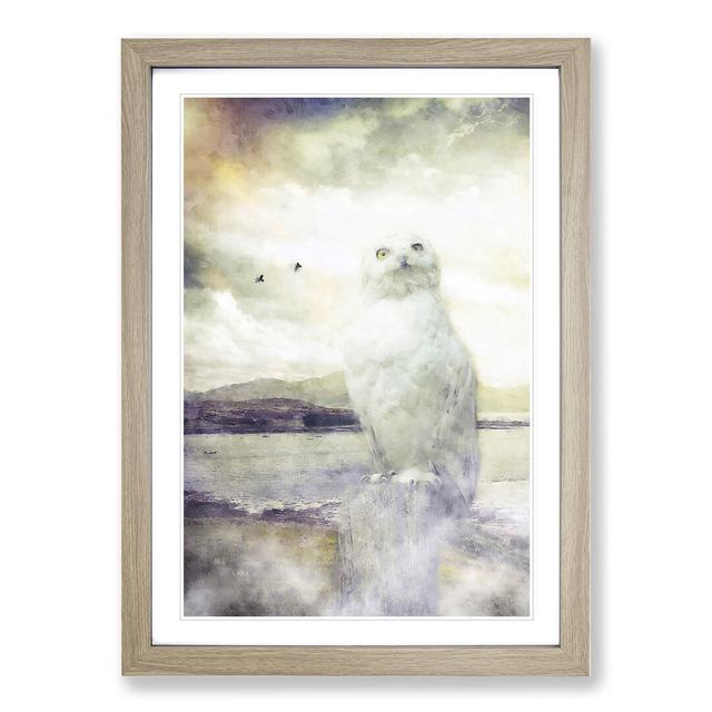 Snowy White Owl - Picture Frame Graphic Art East Urban Home Frame Option: Oak Framed, Size: 36cm H x 27cm W x 2cm D on Productcaster.