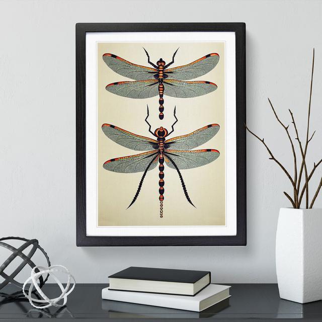 Classic Dragonflies - Picture Frame Graphic Art Brambly Cottage Size: 46cm H x 34cm W, Frame Colour: Black on Productcaster.