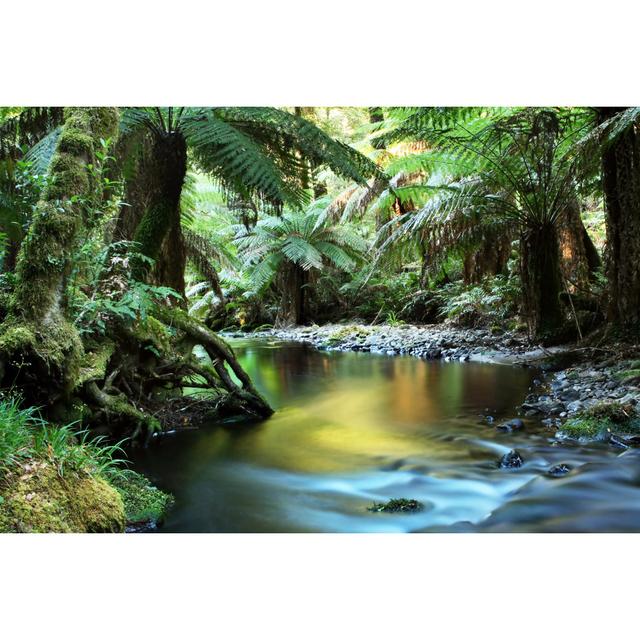 Tropical Rainforest by Robynmac - Wrapped Canvas Print 17 Stories Size: 20cm H x 30cm W x 3.8cm D on Productcaster.