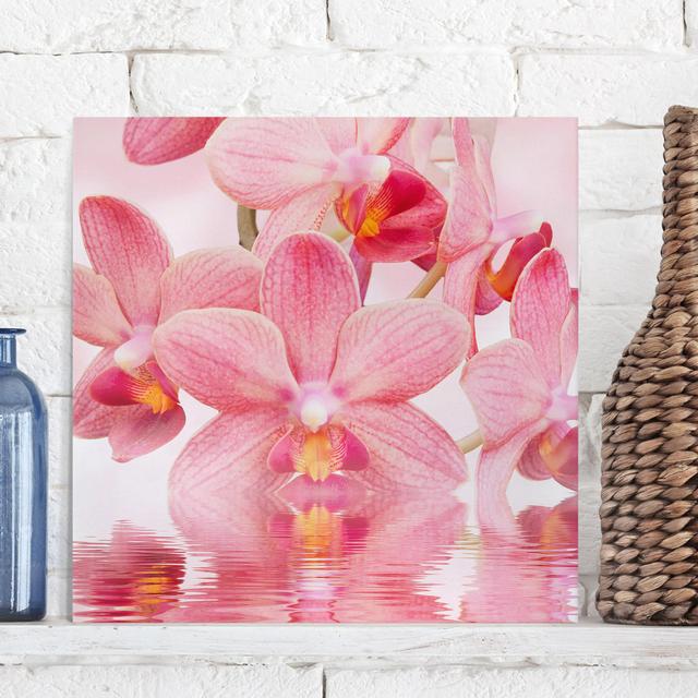 Leinwandbild Rosafarbene Orchideen auf Wasser Ebern Designs Format: 260g/m² Canvas, Größe: 50 cm H x 50 cm B on Productcaster.