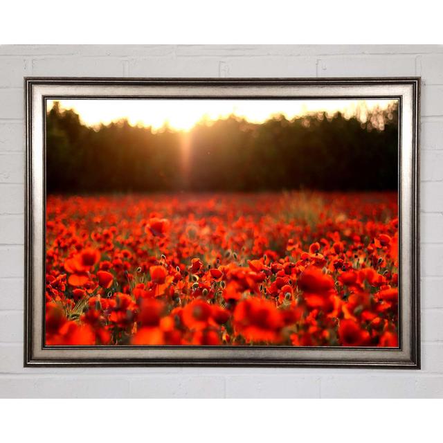 Poppies Meadow - Single Picture Frame Art Prints Brayden Studio Size: 59.7cm H x 84.1cm W x 1.5cm D on Productcaster.