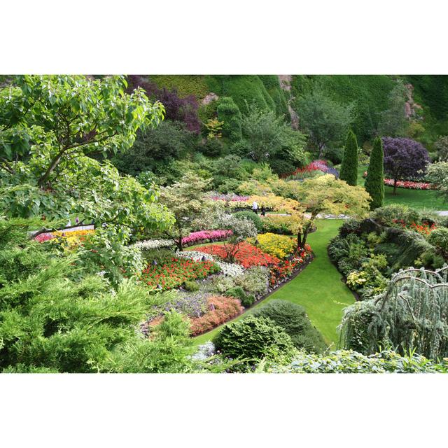 Spectacular Garden during Spring Season 17 Stories Size: 61cm H x 91cm W on Productcaster.