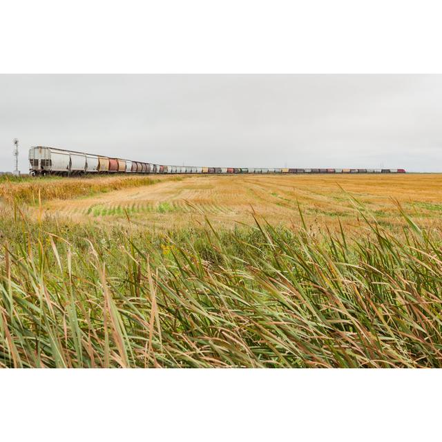 Barrand Grain Train on the Plains by Traingeek - Wrapped Canvas Art Prints 17 Stories Size: 61cm H x 91cm W x 3.8cm D on Productcaster.