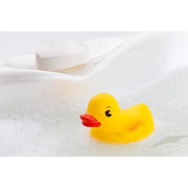 Lampeter Rubber Duck by Fcafotodigital - Wrapped Canvas Photograph Harriet Bee Size: 61cm H x 91cm W x 3.8cm D on Productcaster.