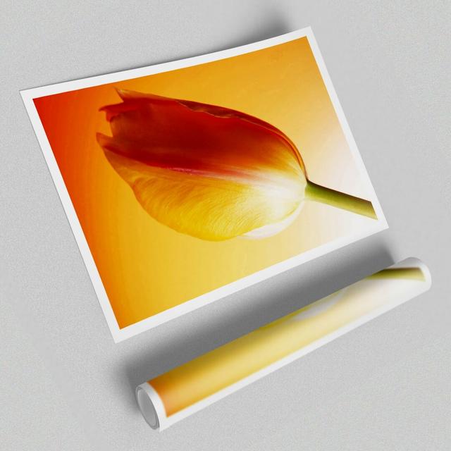 'Yellow on Yellow Tulip Flowers' - Graphic Art Print on Paper East Urban Home Size: 84.1 cm H x 118.9 cm W on Productcaster.