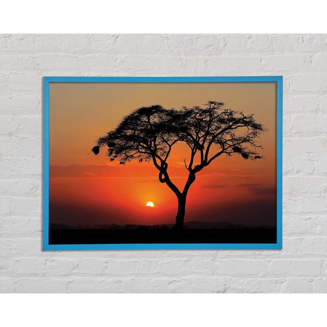 Afrikanischer Sonnenuntergang - Einzelner Bilderrahmen Kunstdrucke Brayden Studio Größe: 59,7 cm H x 84,1 cm B x 2 cm T on Productcaster.