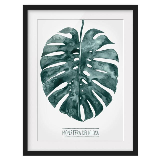 Emerald Green Monstera Deliciosa - Picture Frame Painting Bay Isle Home Size: 100cm H x 70cm W x 2cm D, Frame Option: Black on Productcaster.