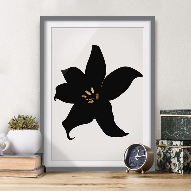 Gerahmtes Poster Plant World - Orchid Black and Gold Rosalind Wheeler Format: Grau, Matte Farbe: Weiß, Maße: 70 cm H x 50 cm B x 2 cm T on Productcaster.