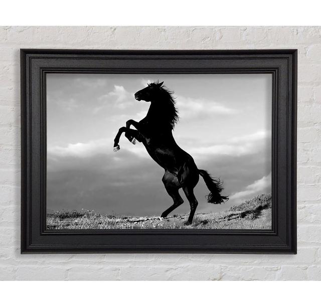 Single Picture Frame Art Prints Gracie Oaks Size: 59.7cm H x 84.1cm W on Productcaster.