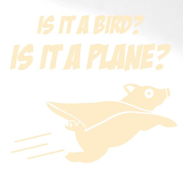 Is It a Bird Is It a Plane Wall Sticker Maturi Colour: Beige, Size: Large on Productcaster.