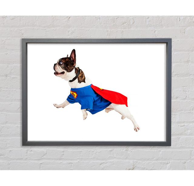 Super Dog Framed Print Bright Star Size: 100cm H x 141.4cm W x 3.3cm D on Productcaster.