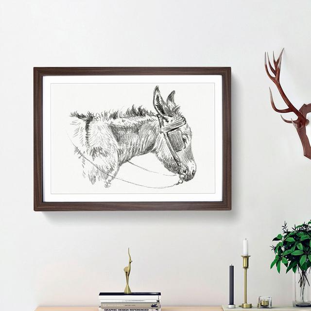 The Head of a Donkey by Jean Bernard - Picture Frame Drawing Print East Urban Home Size: 36cm H x 48cm W x 2cm D, Frame Option: Walnut Framed on Productcaster.