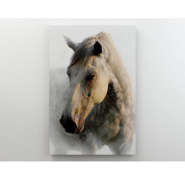 White Horse Love - Druck auf Leinwand ohne Rahmen Brambly Cottage Größe: 141,7 cm H x 99,5 cm B on Productcaster.