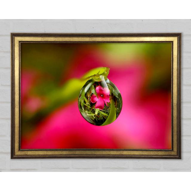 Reflection Of A Pink Flower - Single Picture Frame Art Prints Ebern Designs Size: 59.7cm H x 84.1cm W x 1.5cm D on Productcaster.