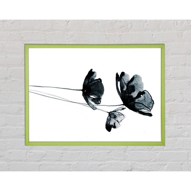 Black Poppy Abstract - Single Picture Frame Art Prints Rosalind Wheeler Size: 42cm H x 59.7cm W x 2cm D on Productcaster.