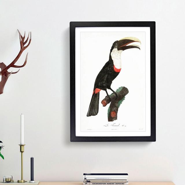 Toco Toucan by Jacques Barraband - Picture Frame Painting Print East Urban Home Size: 48cm H x 36cm W x 2cm D, Frame Option: Black Framed on Productcaster.