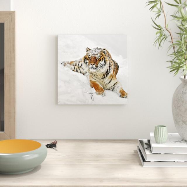 Leinwandbild Amur Tiger im Schnee East Urban Home Größe: 70 cm H x 70 cm B on Productcaster.