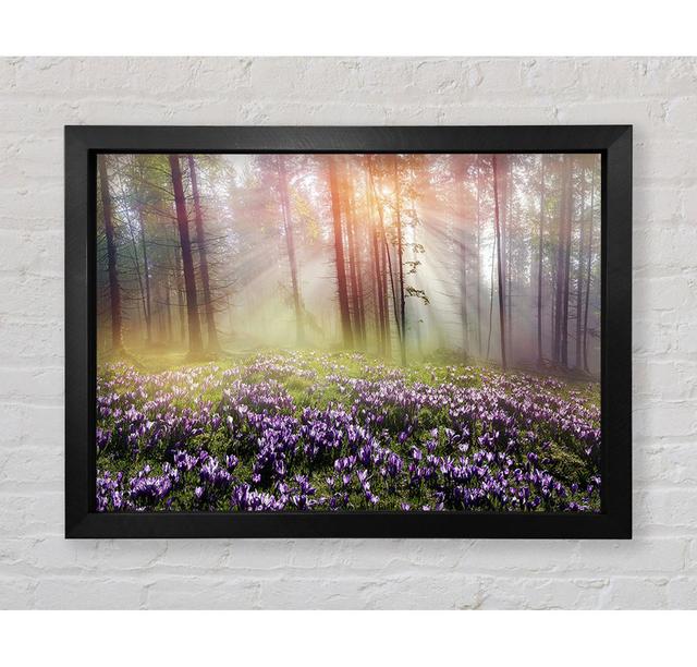 Sun Through The Bluebell Woodland - Single Picture Frame Art Prints Union Rustic Größe: 84,1 cm H x 118,9 cm B x 3,4 cm T on Productcaster.