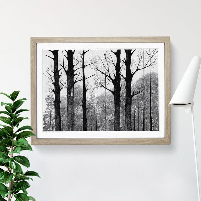 Symmetrical Forest - Single Picture Frame Print Alpen Home Size: 34cm H x 46cm W, Frame Colour: Beige on Productcaster.