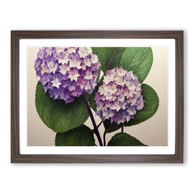 Watercolour Hydrangea Flowers Vol.2 - Picture Frame Graphic Art Marlow Home Co. Size: 46cm H x 64cm W x 2cm D, Frame Colour: Walnut on Productcaster.