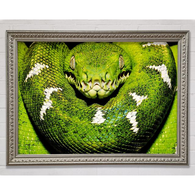 The Serpent - Single Picture Frame Art Prints Ebern Designs Size: 21cm H x 29.7cm W on Productcaster.