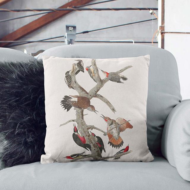 Collection of Woodpeckers by John James Audubon Cushion with Filling East Urban Home Size: 55 x 55 cm, Backing Colour: Stone on Productcaster.