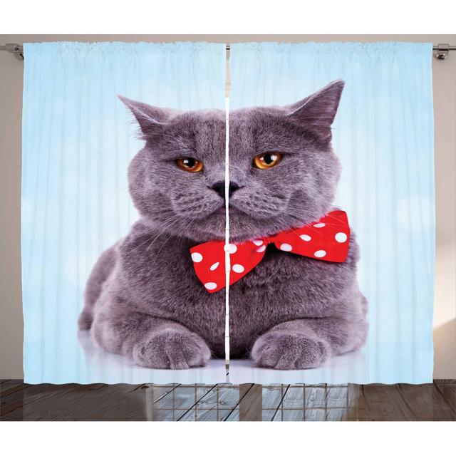 2-tlg. Thermovorhang-Set Katze mit Zwickelfalte, halbtransparent East Urban Home Panel-Größe: 225 cm H x 140 cm B on Productcaster.