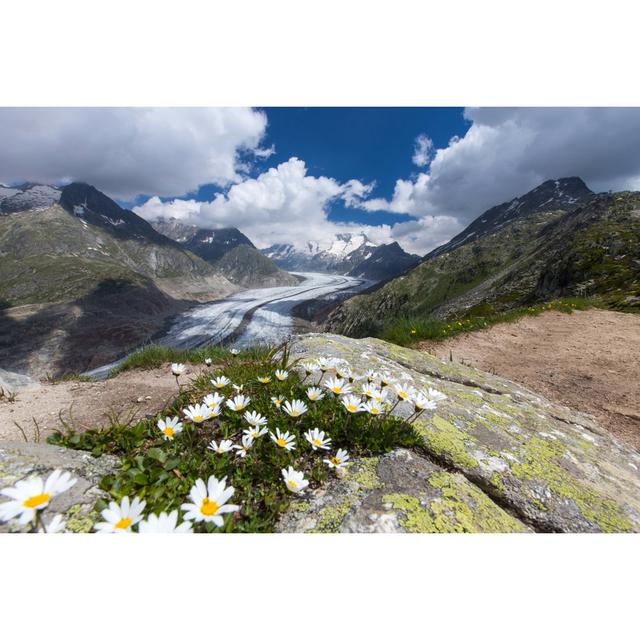 Aletsch Glacier by - Wrapped Canvas Photograph Alpen Home Size: 61cm H x 91cm W on Productcaster.