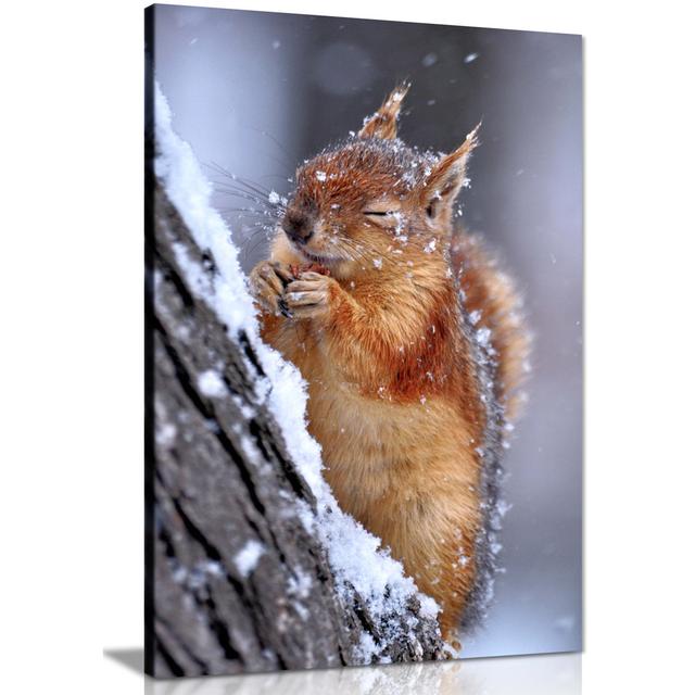 Chilly Cute Red Squirrel Wildlife Artistic - Wrapped Canvas Art Prints Panther Print Size: 76cm H x 51cm W on Productcaster.