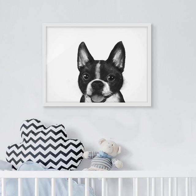 Illustration Dog Boston Black White Painting - Picture Frame Graphic Art on Paper Rosalind Wheeler Frame Option: White Framed, Size: 50cm H x 70cm W x on Productcaster.