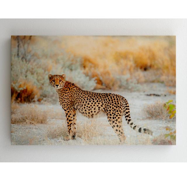 Wilder Gepard - Druck ohne Rahmen auf Leinwand Simply Größe: 48,5 cm H x 80,5 cm B on Productcaster.