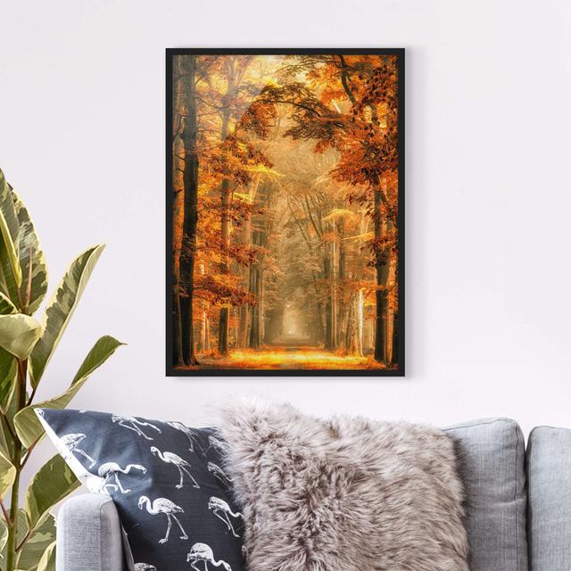 Fairytale Forest in Autumn - Picture Frame Graphic Art Union Rustic Frame Option: Black Framed, Size: 55cm H x 40cm W x 2cm D on Productcaster.