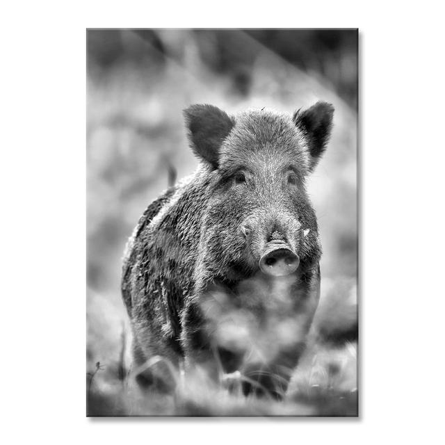 Glasbild Wildschwein auf Wiese Brayden Studio Größe: 100 cm H x 70 cm B x 0,4 cm T on Productcaster.