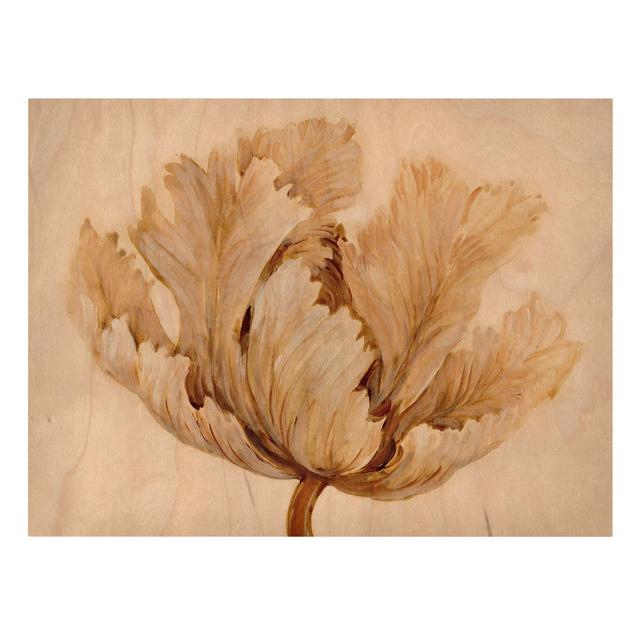 Sepia Tulip on Wood - Wrapped Canvas Graphic Art Rosalind Wheeler Size: 60cm H x 80cm W, Format: 330g/m³ Recycled canvas on Productcaster.