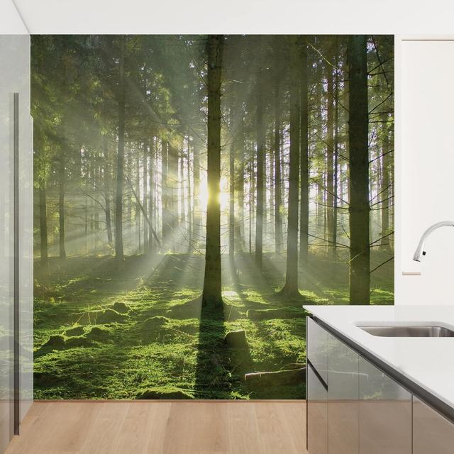 Spring Fairytale 2.4m x 2.4m Textured Matte Peel & Stick Wall Mural East Urban Home on Productcaster.