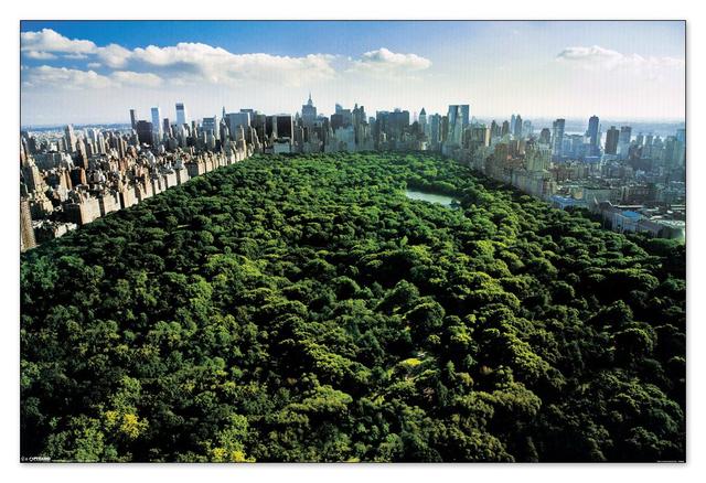 'Central Park' Photographic Print Ebern Designs on Productcaster.