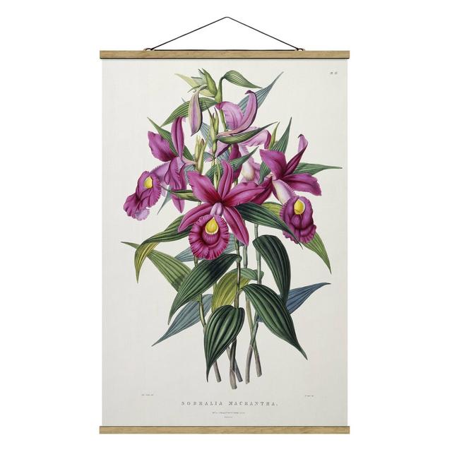 Stoffbild Orchid I von Maxim Gauci Sommerallee Größe: 120 cm H x 80 cm B x 0,3 cm T on Productcaster.