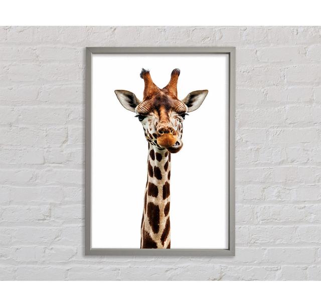 Goofy Giraffe - Einzelner Bilderrahmen Kunstdrucke auf Leinwand Bright Star Größe: 118,9 cm H x 84,1 cm B x 3,3 cm T on Productcaster.