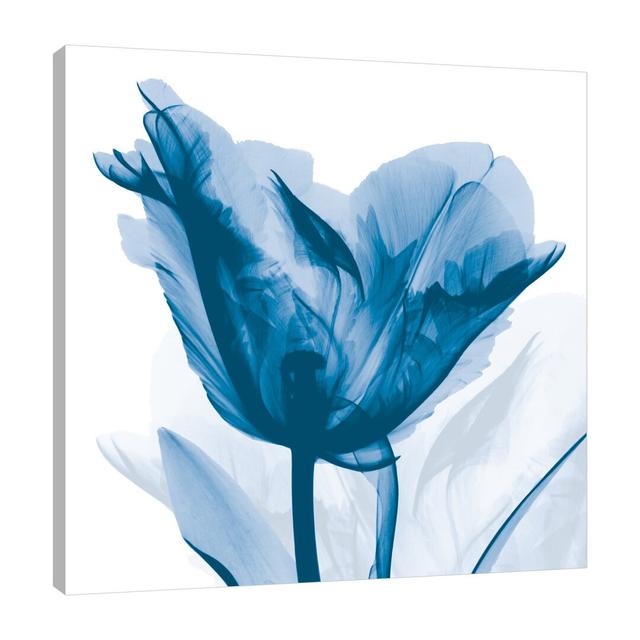 Lust Blue Tulip_H30 - Wrapped Canvas Print East Urban Home Size: 46 cm H x 46 cm W on Productcaster.