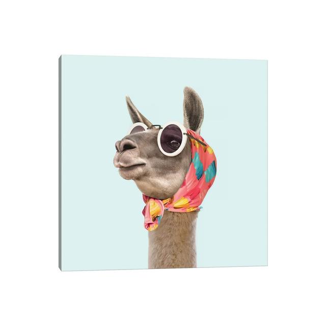 Fashion Llama Happy Larry on Productcaster.