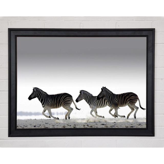 Zebras Ocean Running - Einzelne Bilderrahmen Kunstdrucke Bloomsbury Market Größe: 59,7 cm H x 84,1 cm B x 1,5 cm T, Format: Mattschwarzes gerahmtes Pa on Productcaster.