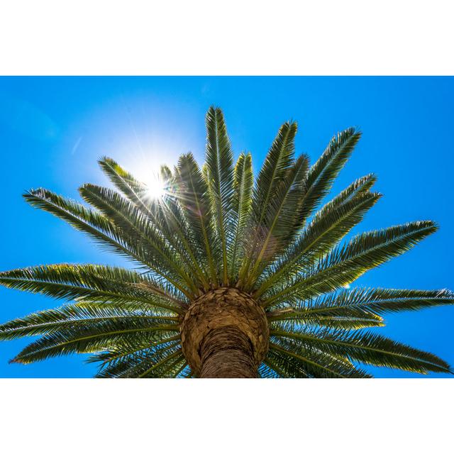 Palm Tree - Wrapped Canvas Print 17 Stories Size: 81cm H x 122cm W x 3.8cm D on Productcaster.