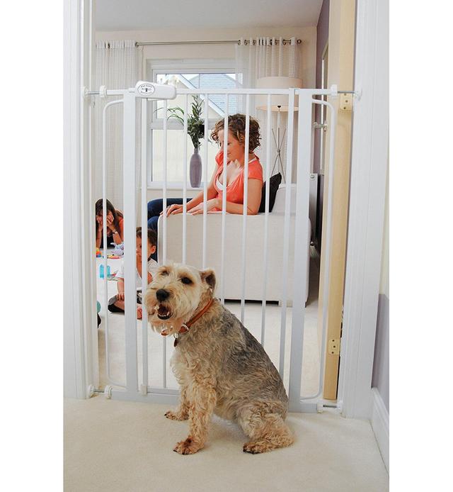 Owasa Safety Gate Archie & Oscar Size: 94.3cm x 101.9cm, Colour: White on Productcaster.