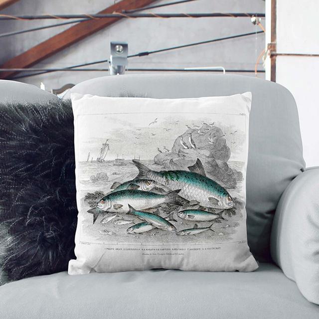 Beached Fish Cushion with Filling East Urban Home Backing Colour: White, Size: 40cm H x 40cm W x 15cm D on Productcaster.