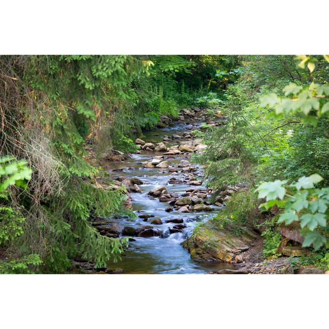 Ernestine Mountain River in Wood - Wrapped Canvas Photograph Alpen Home Size: 61cm H x 91cm W x 3.8cm D on Productcaster.