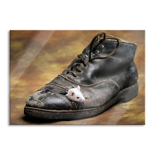 Mouse in a Shoe - Unframed Photograph on Glass Brayden Studio Size: 60cm H x 80cm W x 0.4cm D on Productcaster.