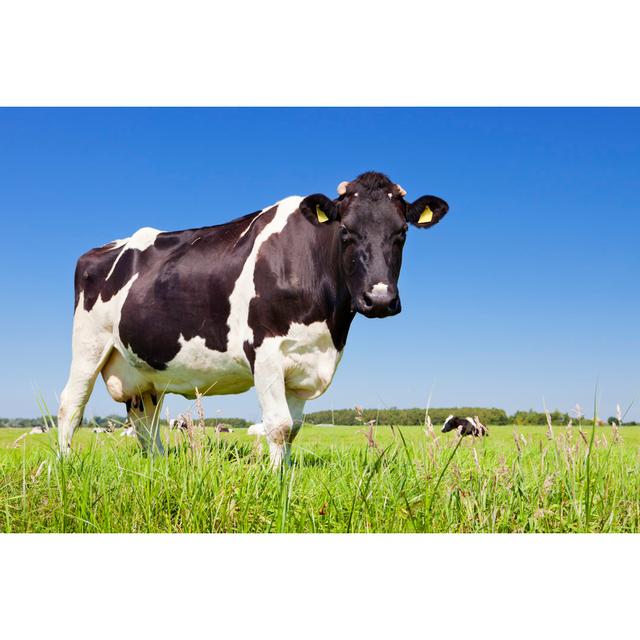 Cow In A Fresh Grassy Field by Sara_winter - Print Brambly Cottage Size: 81cm H x 122cm W on Productcaster.