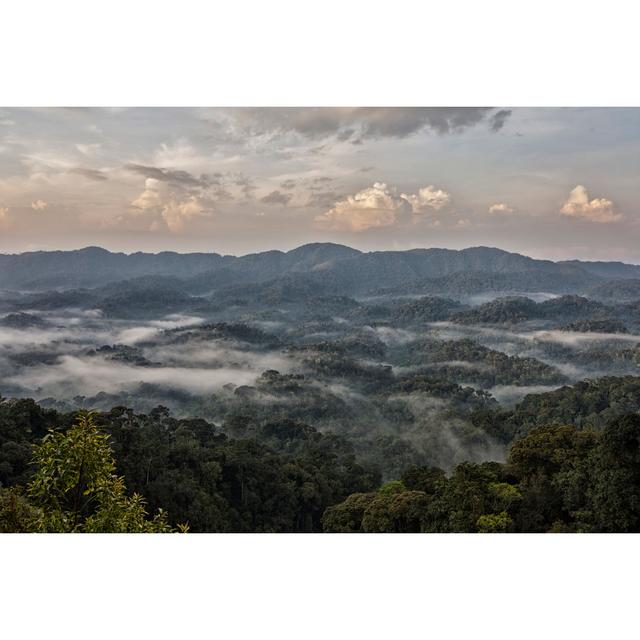 Early Morning Mist - Print Alpen Home Size: 20cm H x 30cm W x 3.8cm D on Productcaster.