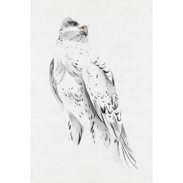 Gyrfalcon II - Print Rosalind Wheeler Size: 46cm H x 30cm W x 3.8cm D on Productcaster.