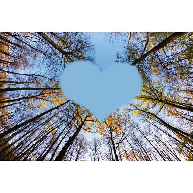 Siegert Autumn Tree Tops - Wrapped Canvas Photograph Alpen Home Size: 30cm H x 46cm W x 3.8cm D on Productcaster.